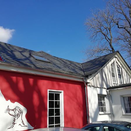 Kleines Studio Im Eichenwaeldchen, 1 Zimmer Kueche Bad Friedrichsgrun 外观 照片