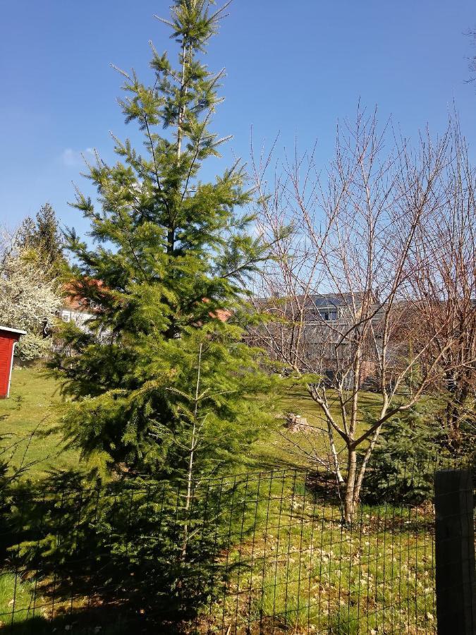 Kleines Studio Im Eichenwaeldchen, 1 Zimmer Kueche Bad Friedrichsgrun 外观 照片