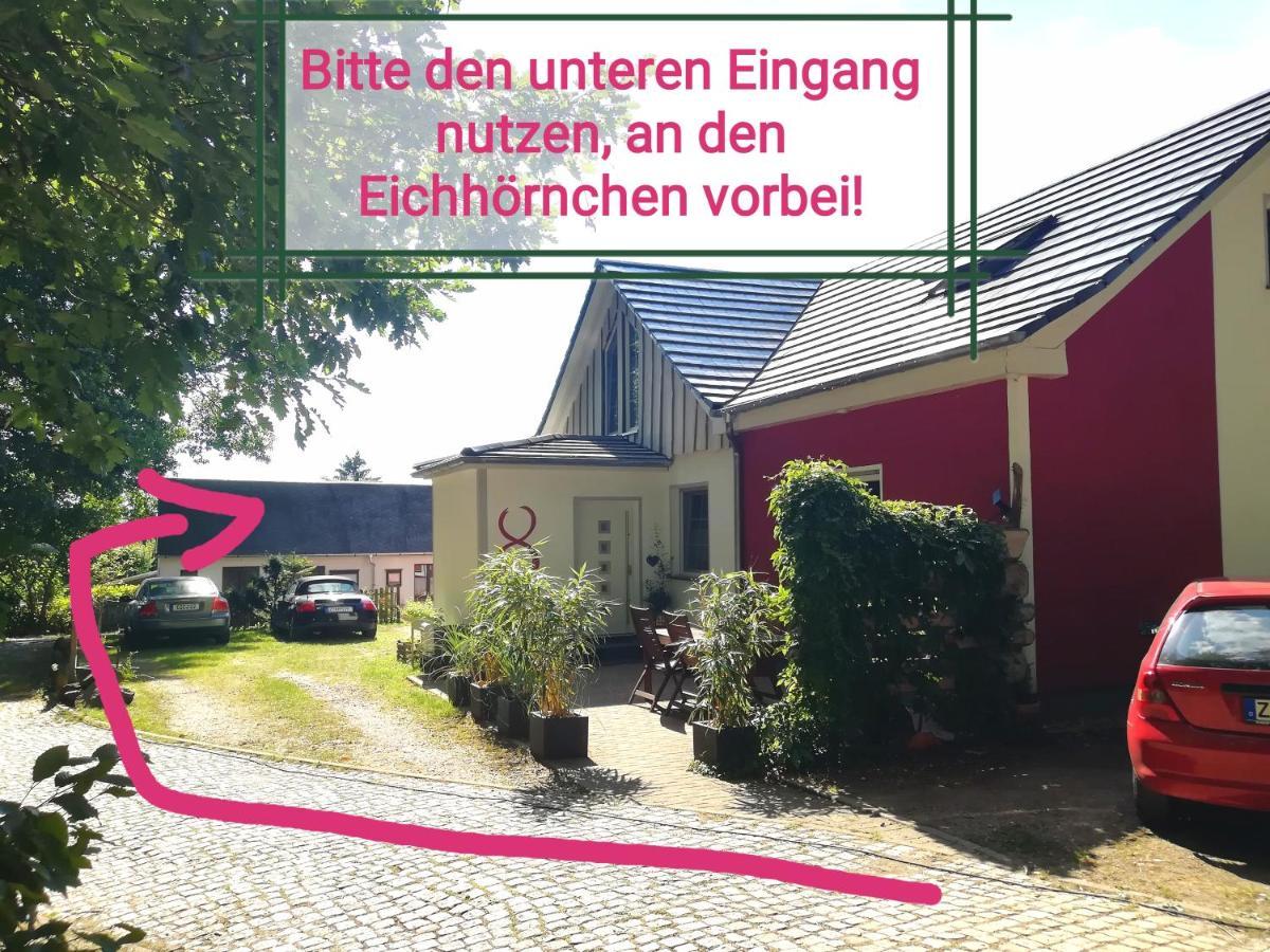 Kleines Studio Im Eichenwaeldchen, 1 Zimmer Kueche Bad Friedrichsgrun 外观 照片