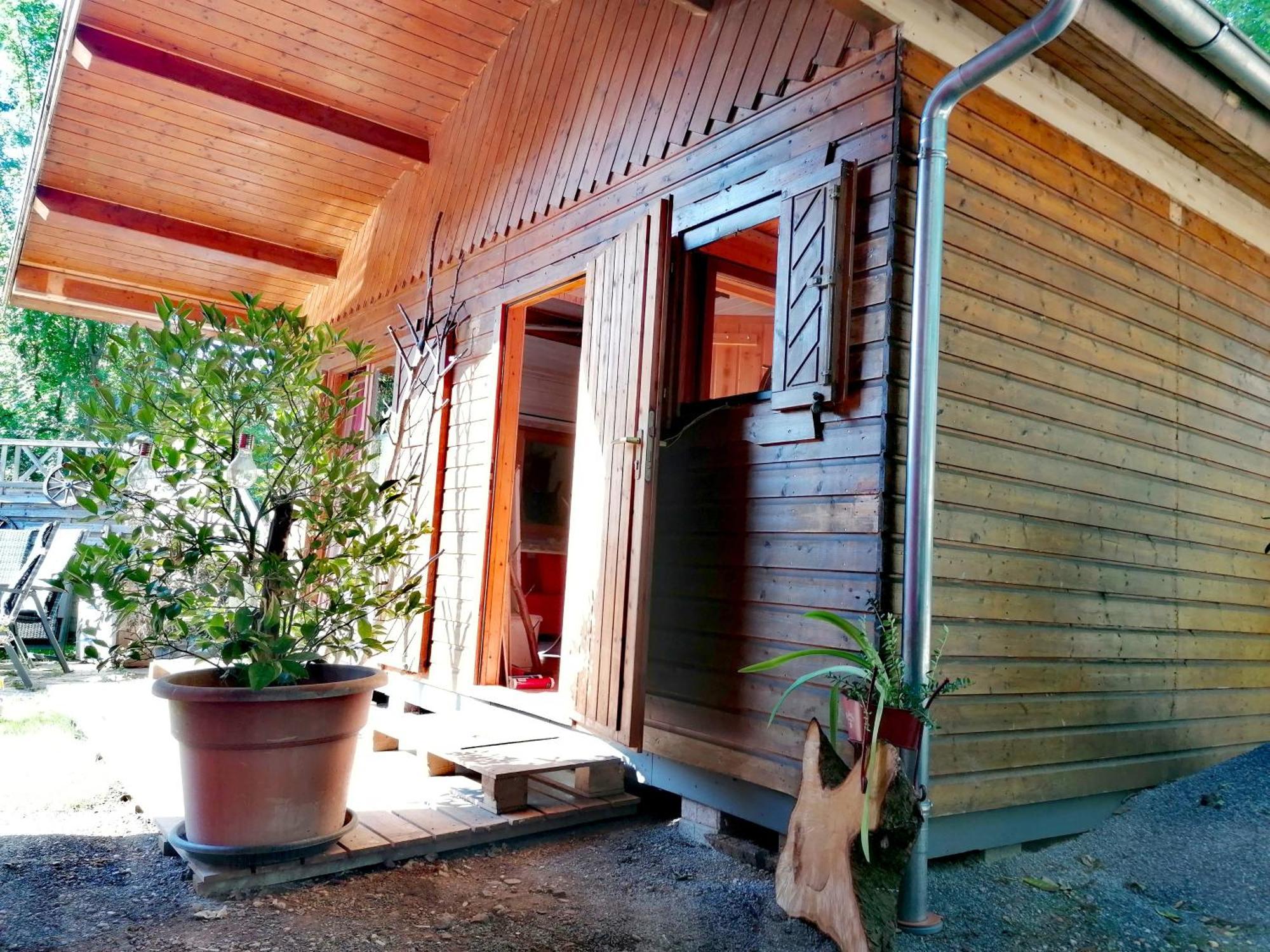 Kleines Studio Im Eichenwaeldchen, 1 Zimmer Kueche Bad Friedrichsgrun 外观 照片